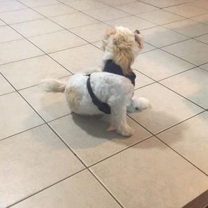 Meet your Posher, Marivel